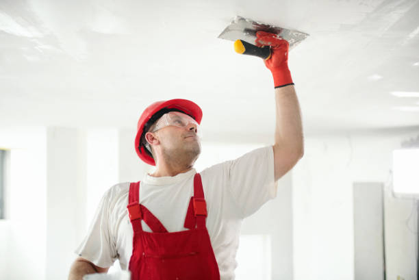 Best Attic Mold Removal  in Georgetown, KY